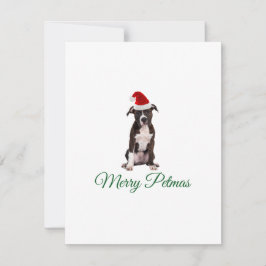 メリークリスマスピットブル シーズンカード