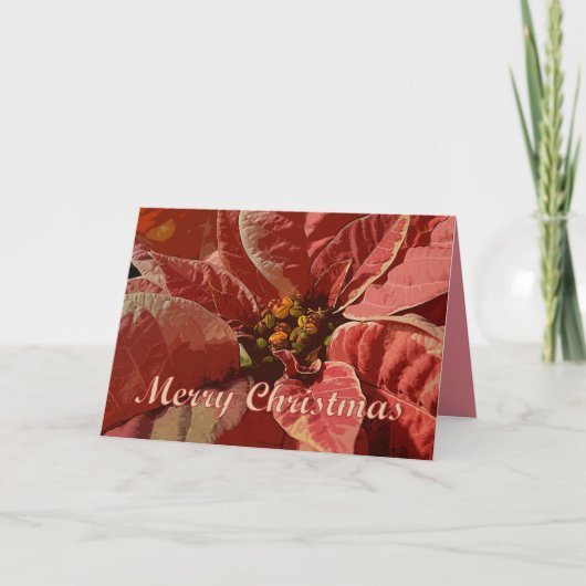 メリークリスマスピンクとクリームポインセティアス シーズンカード (正面)