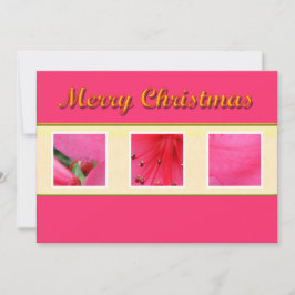 メリークリスマスピンクの花のグリーティングカード シーズンカード