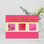 メリークリスマスピンクの花のグリーティングカード シーズンカード (スタンド正面)