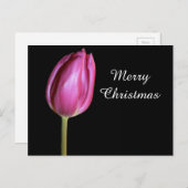メリークリスマスピンクチューリップフラワーフォトフローラ シーズンポストカード (正面/裏面)