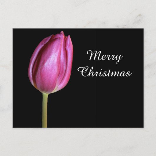 メリークリスマスピンクチューリップフラワーフォトフローラ シーズンポストカード (正面)