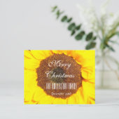 メリークリスマスファミリー2018年12月ひまわり シーズンポストカード (スタンド正面)