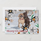 メリークリスマスフォトファミリーペットカーよくはしゃぐド シーズンカード (正面)