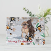 メリークリスマスフォトファミリーペットカーよくはしゃぐド シーズンカード (スタンド正面)