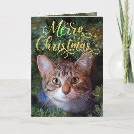 メリークリスマスフォト4ページのカード シーズンカード