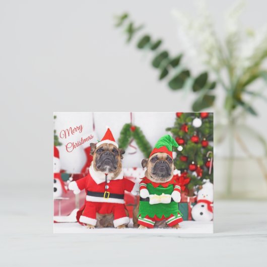メリークリスマスフランスのブルドッグスサンタと小妖精や小人 シーズンポストカード (スタンド正面)