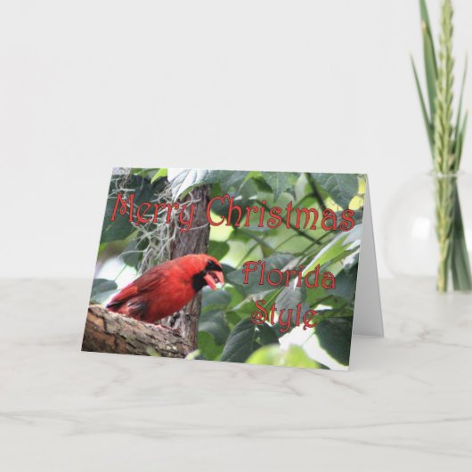 メリークリスマスフロリダスタイル シーズンカード (正面)