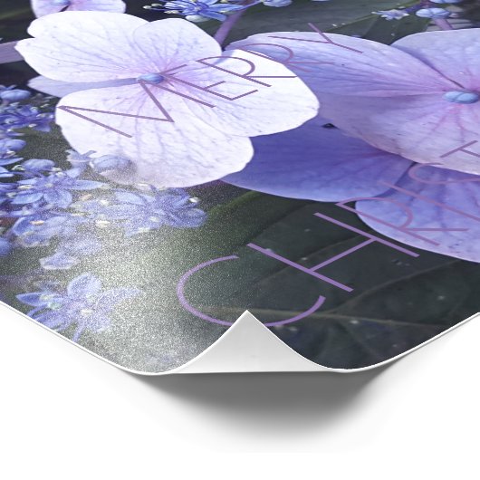 メリークリスマスフローラ紫色の花写真撮影 フォトプリント (角)