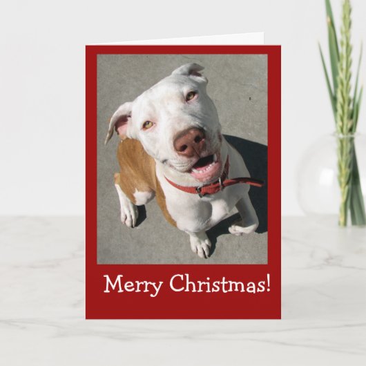 メリークリスマスフ最高のレンド シーズンカード (正面)