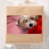 メリークリスマスプレゼントラベルラベル ラベル (インサイチュ)