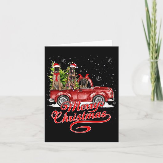 メリークリスマスベルギーマリノイスサンタトナディエール カード (正面)