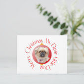 メリークリスマスペキン シーズンポストカード (スタンド正面)