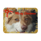 メリークリスマスペットの写真 マグネット (横)