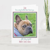 メリークリスマスペットフォトおもしろい犬パパ シーズンカード (正面)