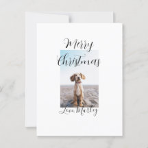 メリークリスマスペット犬の猫の写真の休日のギフト低