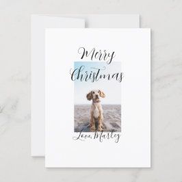 メリークリスマスペット犬の猫の写真の休日のギフト低 ポストカード