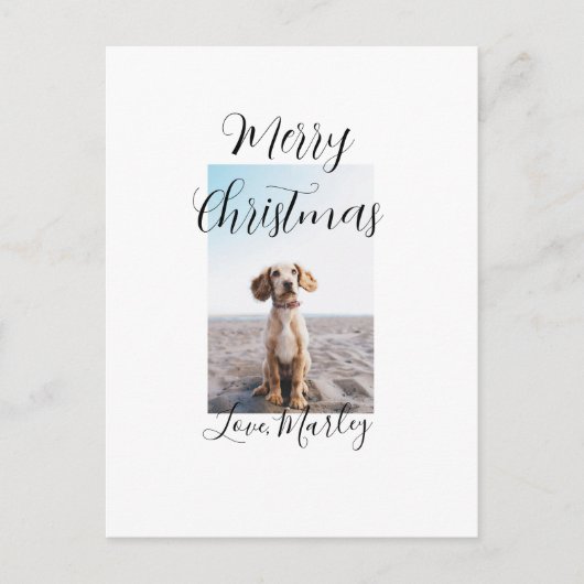 メリークリスマスペット犬の猫の写真の休日のギフト低 ポストカード (正面)