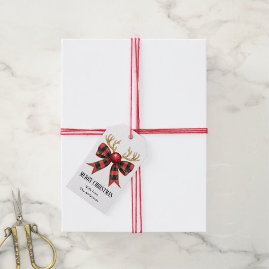 メリークリスマスホリデーパーティー ギフトタグ (より糸付き)