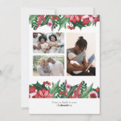 メリークリスマスホリデーフォトホリーベリー シーズンカード (裏面)