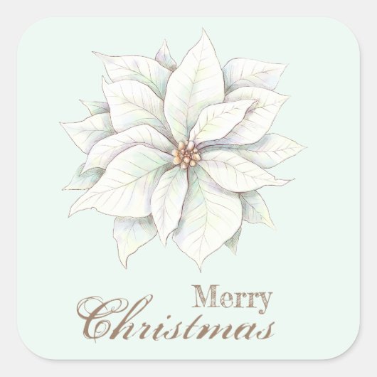 メリークリスマスホワイトポインセチア広場ステッカー スクエアシール (正面)