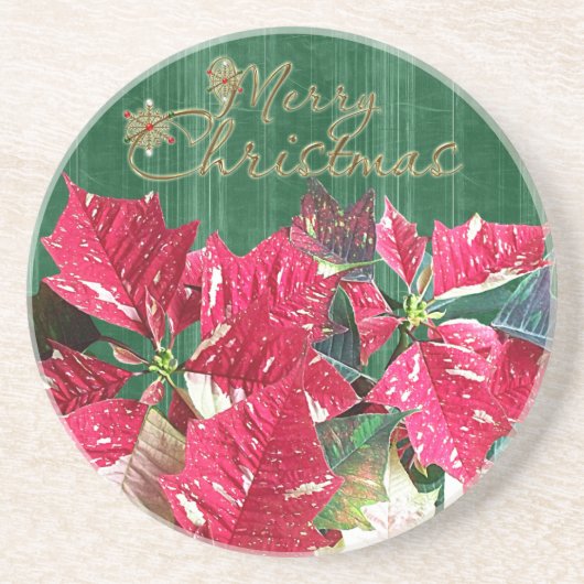 メリークリスマスポインセチア砂岩コースター コースター (正面)
