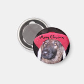 メリークリスマスマグネット マグネット (正面/裏面)