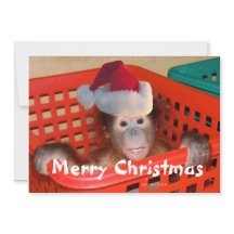 メリークリスマスメッセージを作成する