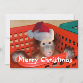 メリークリスマスメッセージを作成する 招待状