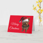 メリークリスマスヨルキ カード (黄色い花)