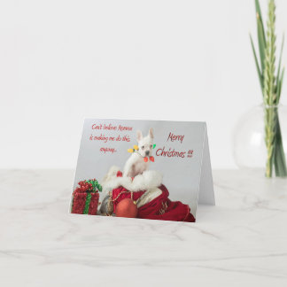 メリークリスマスライトサンタブルドフランスのッグカード カード