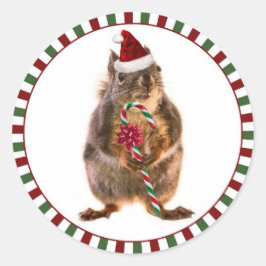 メリークリスマスリスのステッカー ラウンドシール