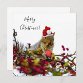 メリークリスマスリスのフラットカード (正面/裏面)