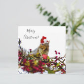 メリークリスマスリスのフラットカード (スタンド正面)