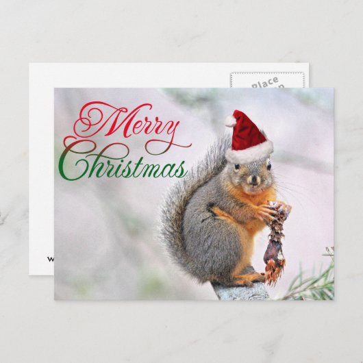 メリークリスマスリス シーズンポストカード (正面/裏面)