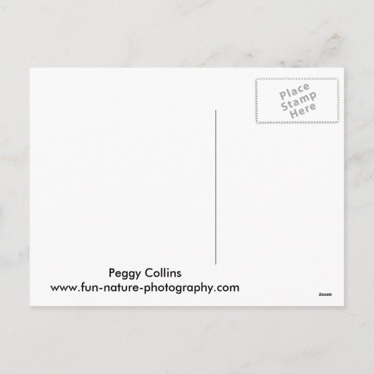 メリークリスマスリス シーズンポストカード (裏面)