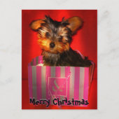 メリークリスマスリトルヨークシャーテリアカスタマイズ シーズンポストカード (正面)