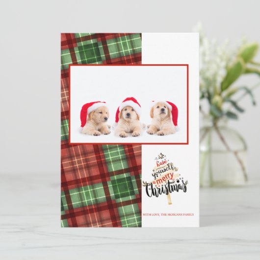 メリークリスマスレッドグリーンバッファロープレイド写真 (スタンド正面)