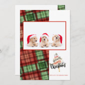 メリークリスマスレッドグリーンバッファロープレイド写真 (正面/裏面)