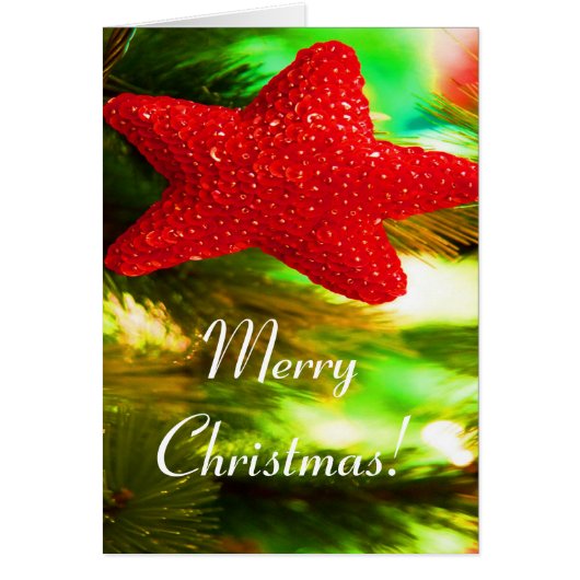 メリークリスマスレッドスターI (正面)