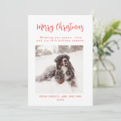 メリークリスマスレッドドッグフォトホリデーカード シーズンカード (スタンド正面)