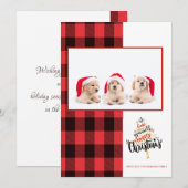 メリークリスマスレッドブラックバッファロープレイド写真 (正面/裏面)