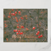 メリークリスマスレッドベリーフェスティバル自然写真 箔シーズンポストカード (正面)