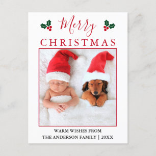 メリークリスマスレッドベリー写真 ポストカード