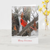 メリークリスマスレッド（鳥）ショウジョウコウカンチョウオンブランチ カード (黄色い花)