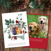 メリークリスマスレッド（鳥）ショウジョウコウカンチョウ2写真 シーズンカード