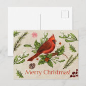 メリークリスマスレッド（鳥）ショウジョウコウカンチョウ ポストカード (正面/裏面)