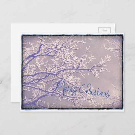 メリークリスマス冬の木の枝 シーズンポストカード (正面/裏面)