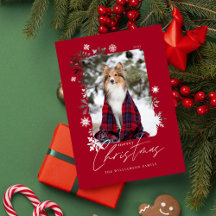 メリークリスマス冬の雪片ファミリー写真