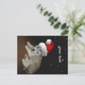 メリークリスマス子犬 シーズンポストカード (スタンド正面)